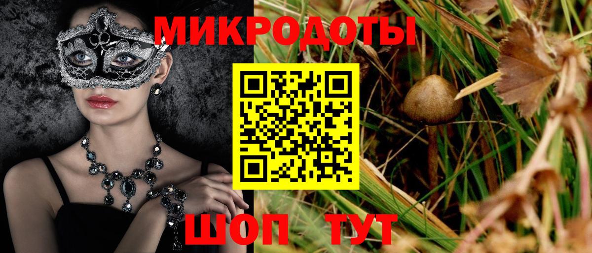 Галлюциногенные грибы Psilocybe Кушва