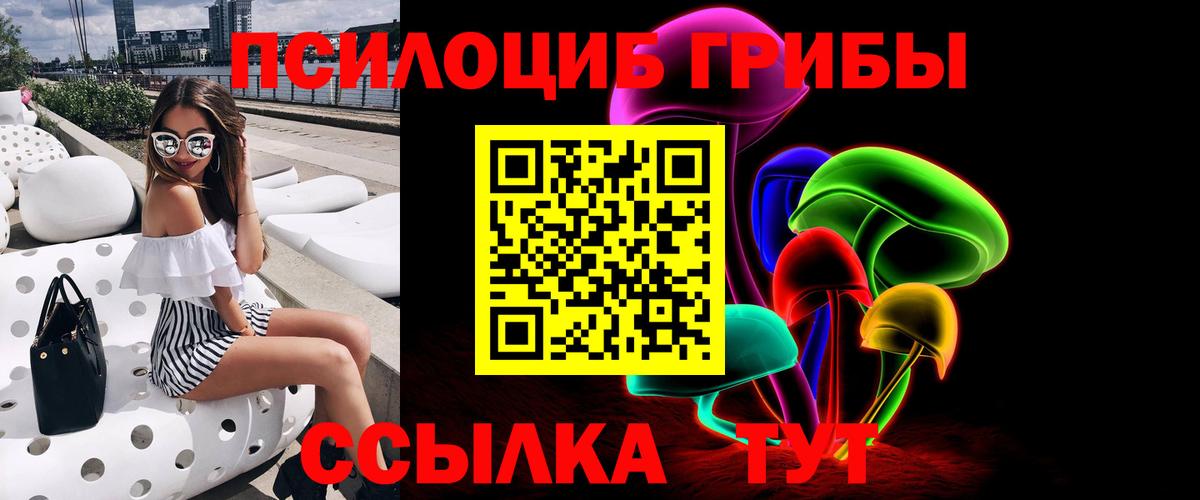 Галлюциногенные грибы Psilocybe  Вход с VPN  купить   Кушва  Псилоцибиновые грибы мухоморы 