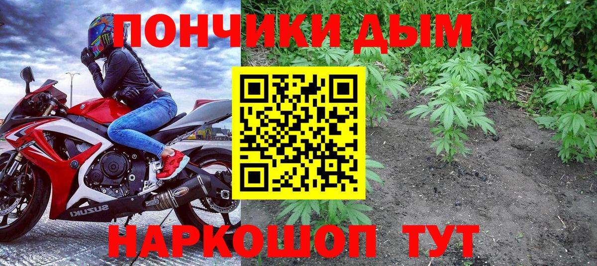 Бошки марихуана семена Кушва